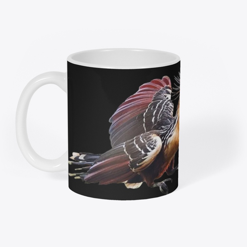 Hoazin bird