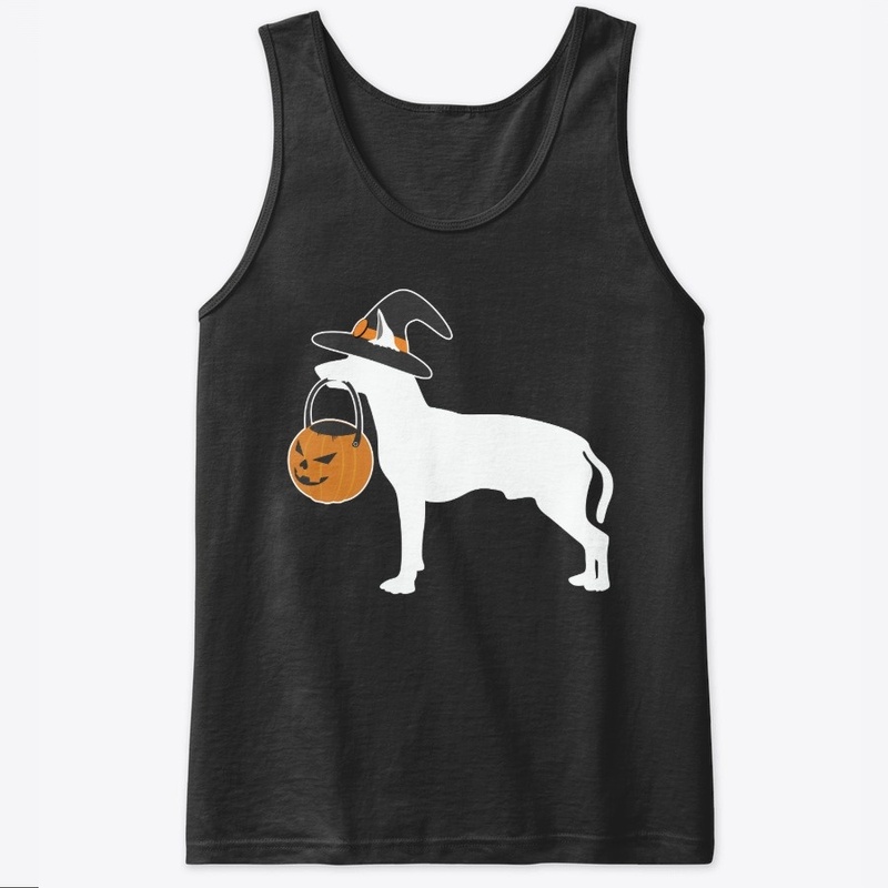 Halloween Spanish Greyhound Dog