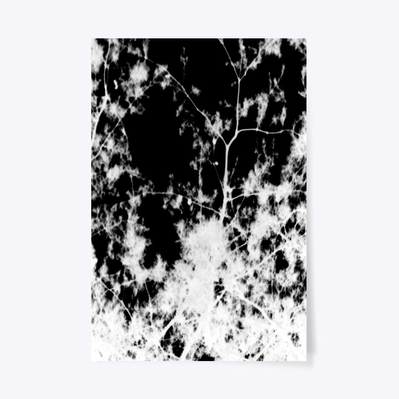 black and white limbs