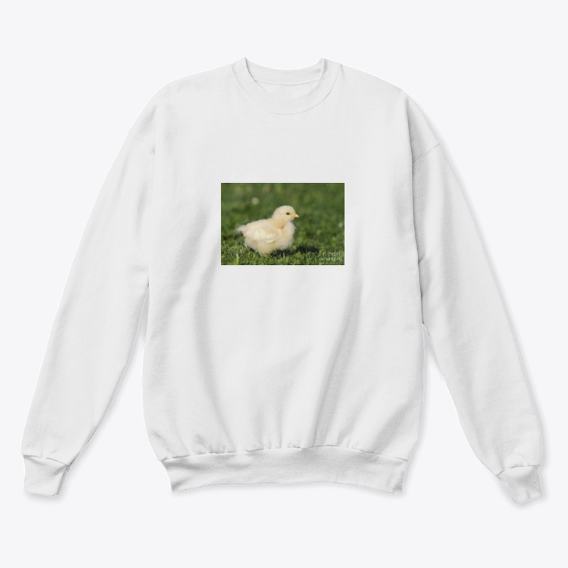Cute Chick design all Items can be use