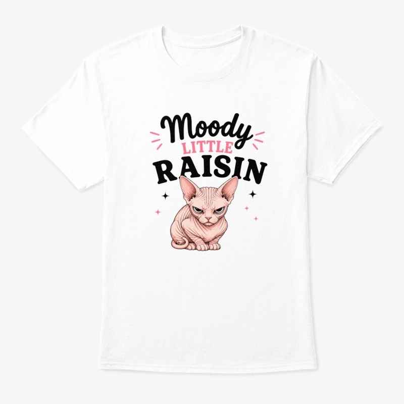 Moody Little Raisin Sphynx Cat