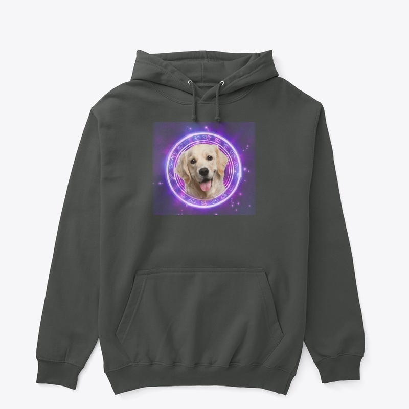 Yellow Labrador Retriever FALL