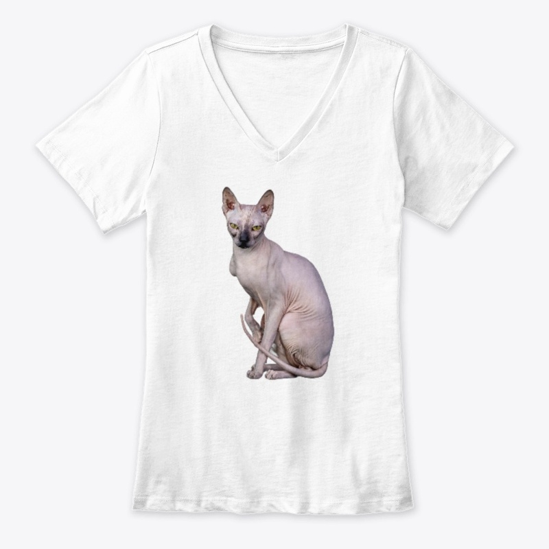 Kiss me chat