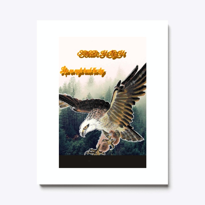 fly eagle