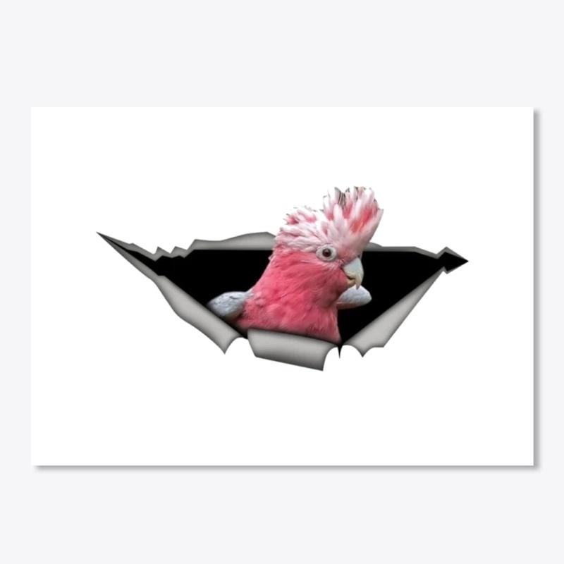 pink parrot stickers