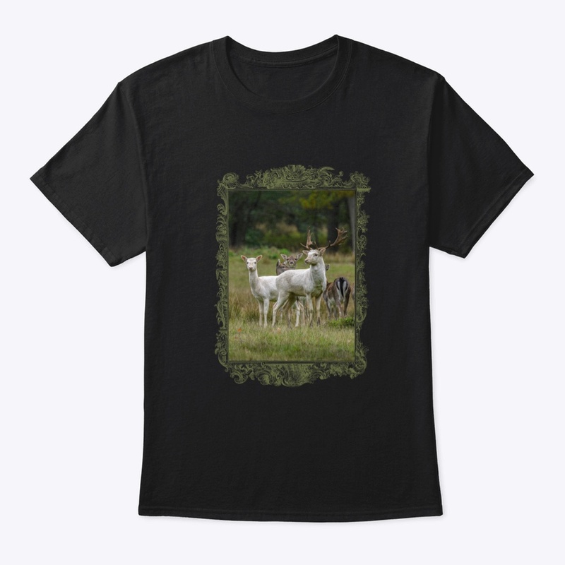 Pure Wildlife Lovers: White Fallow Deer