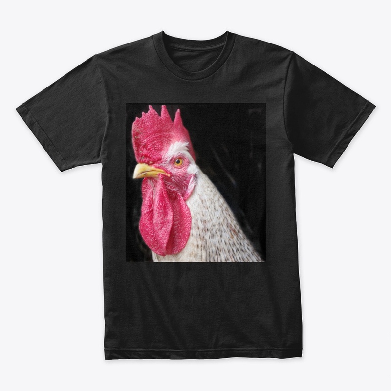 rooster chicken farm animal
