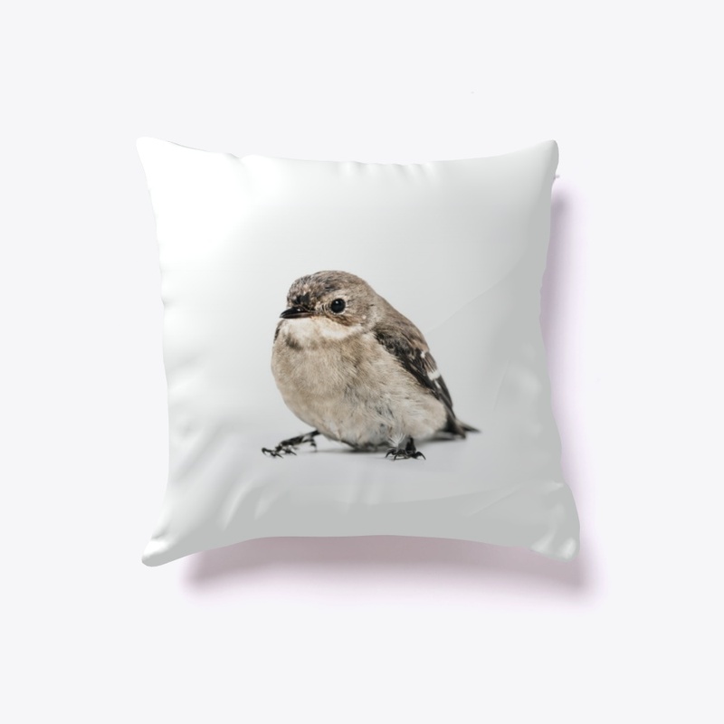 Ready To Fly- Sparrow Print Cushion 