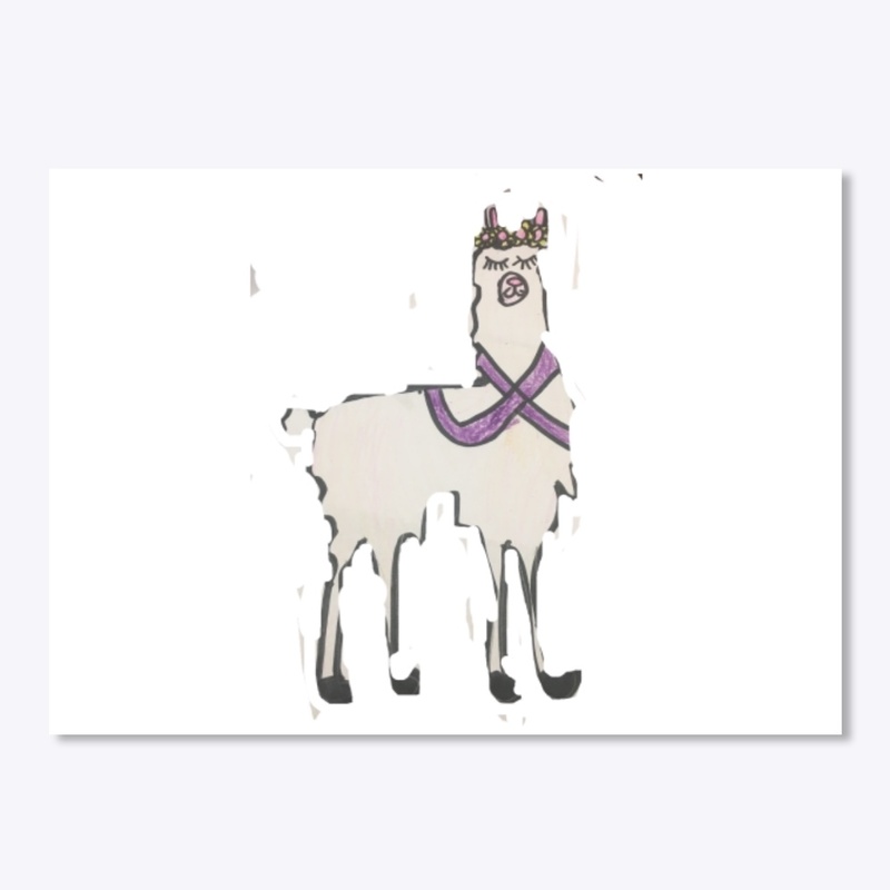 Llama Accessories