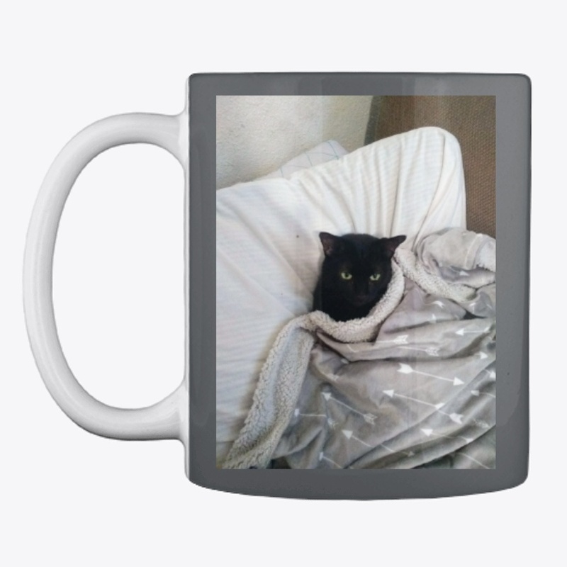 Jack the cat
