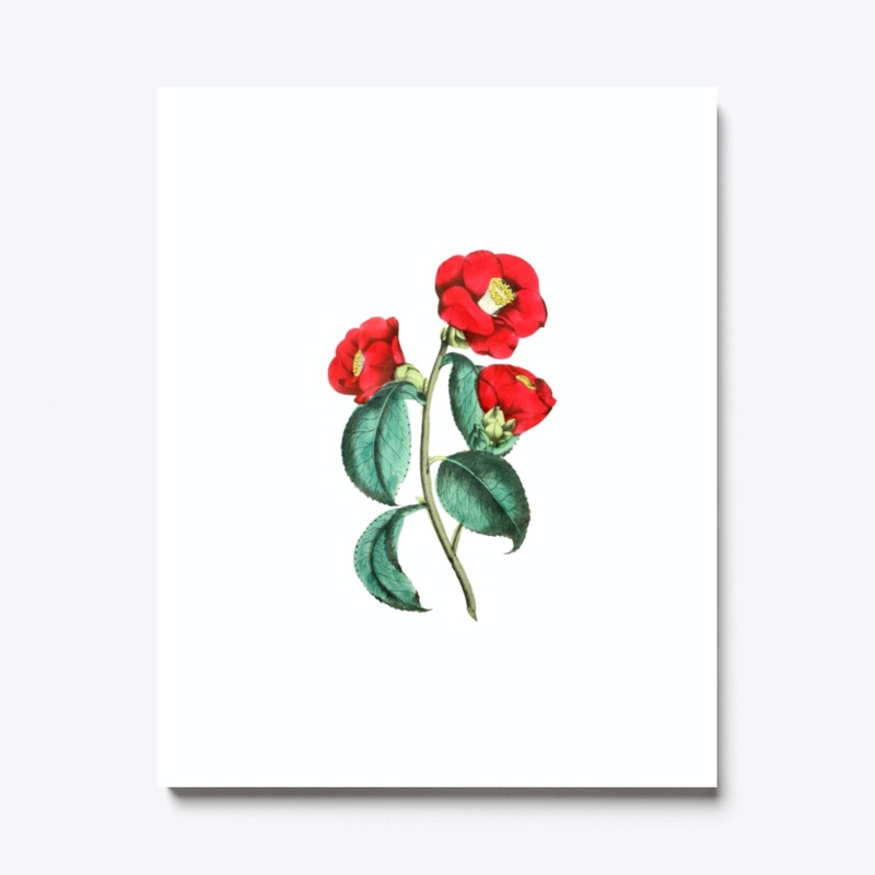Vintage red camellia flower