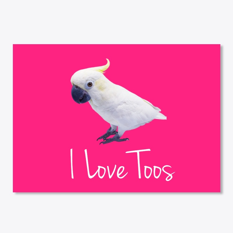 Polly's - The Cockatoo