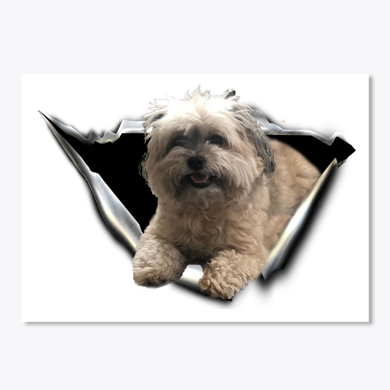 morkie 3D Car sticker