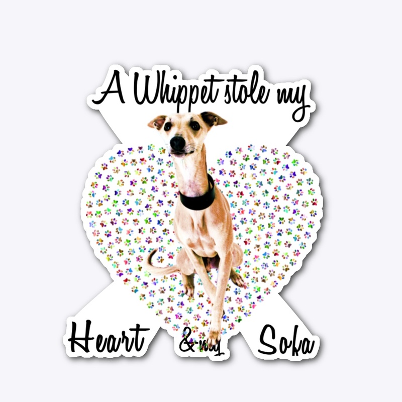 a whippet dog stole my heart
