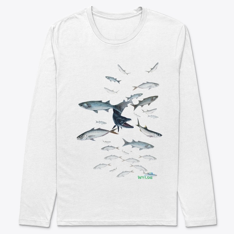 Barracuda Attacking Baitfish