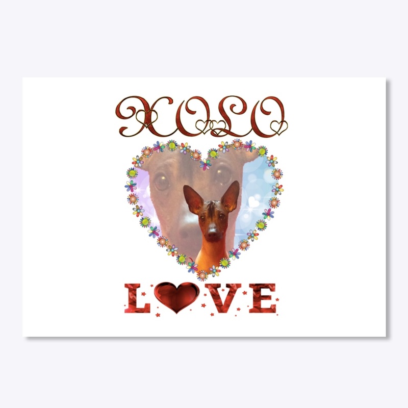 xolo dog love  and hearts