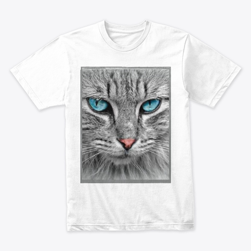 Angry Cat