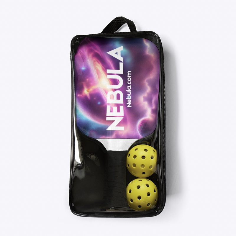 Pickle ball set