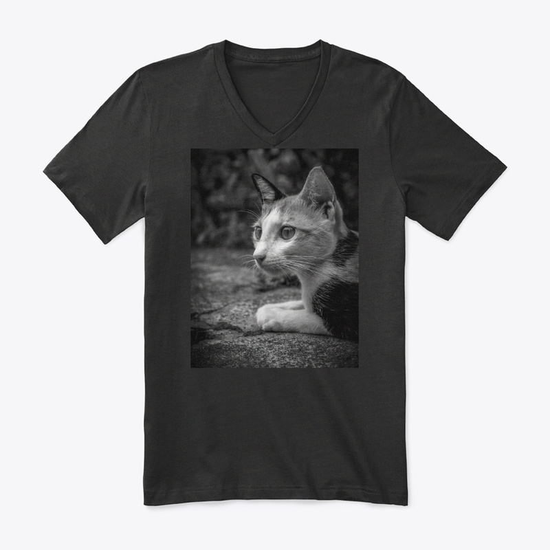 Cute Cat Portrait