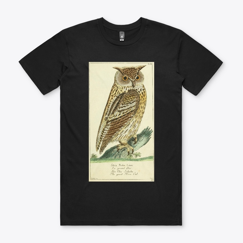The Owl