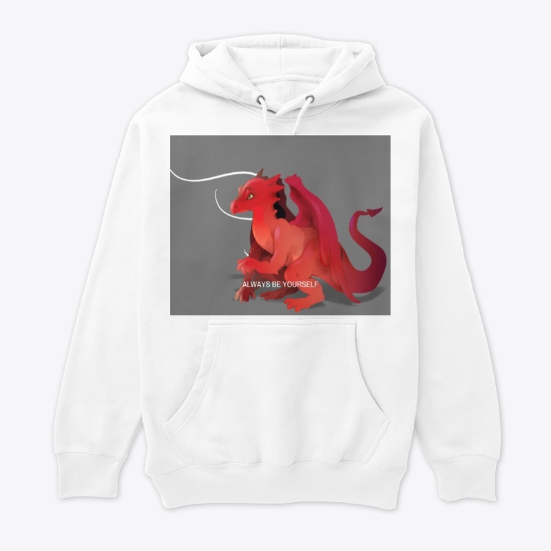 Hoodie sweatshirt and T shirts