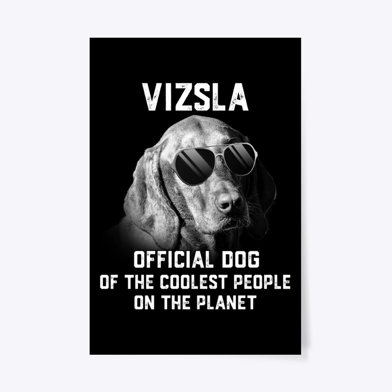Vizsla, Official Pet Of Coolest People