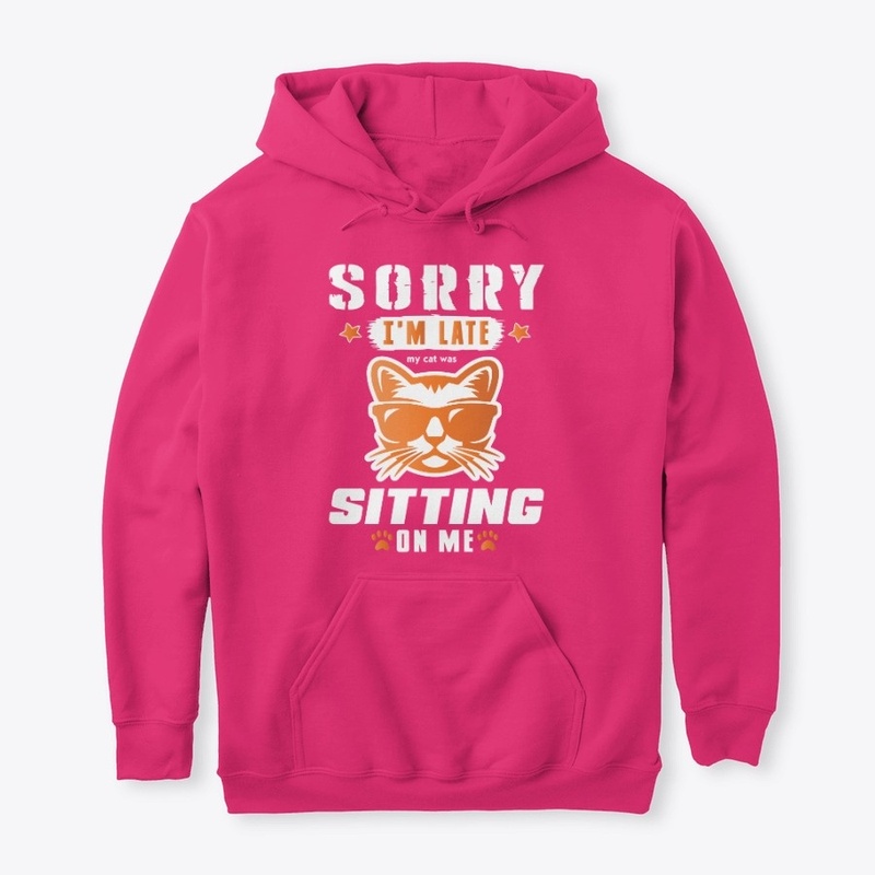 sorry i’m late my cat was sitting on me
