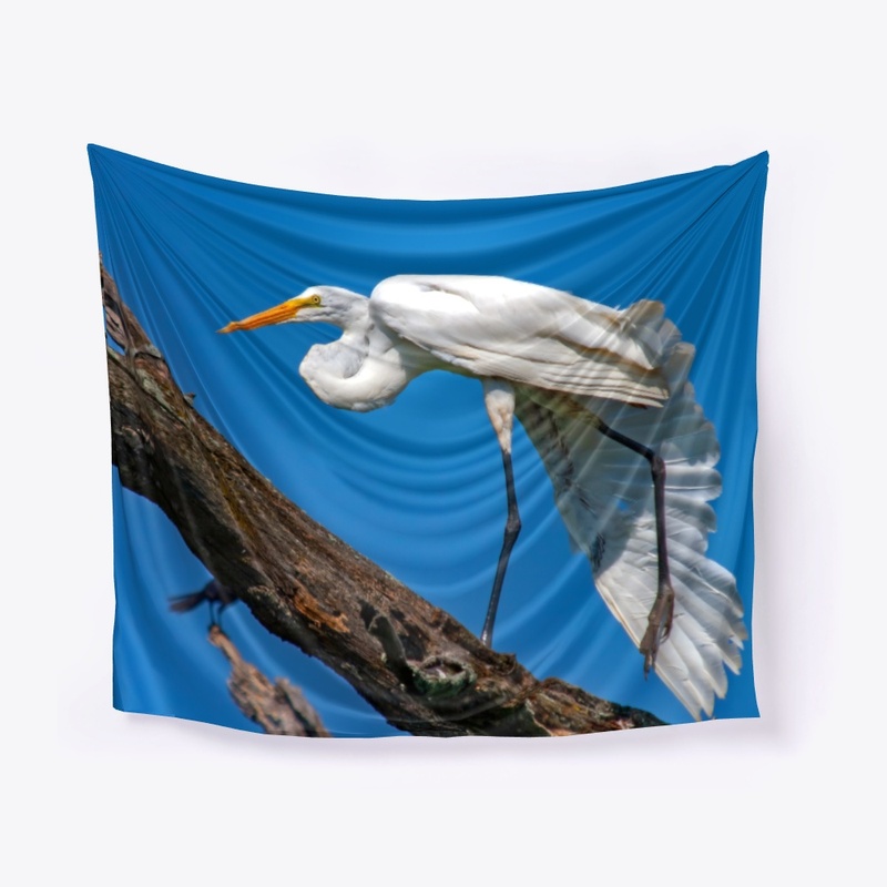 Great White Egret