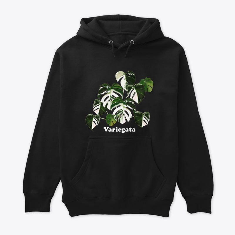 Variegata Monstera