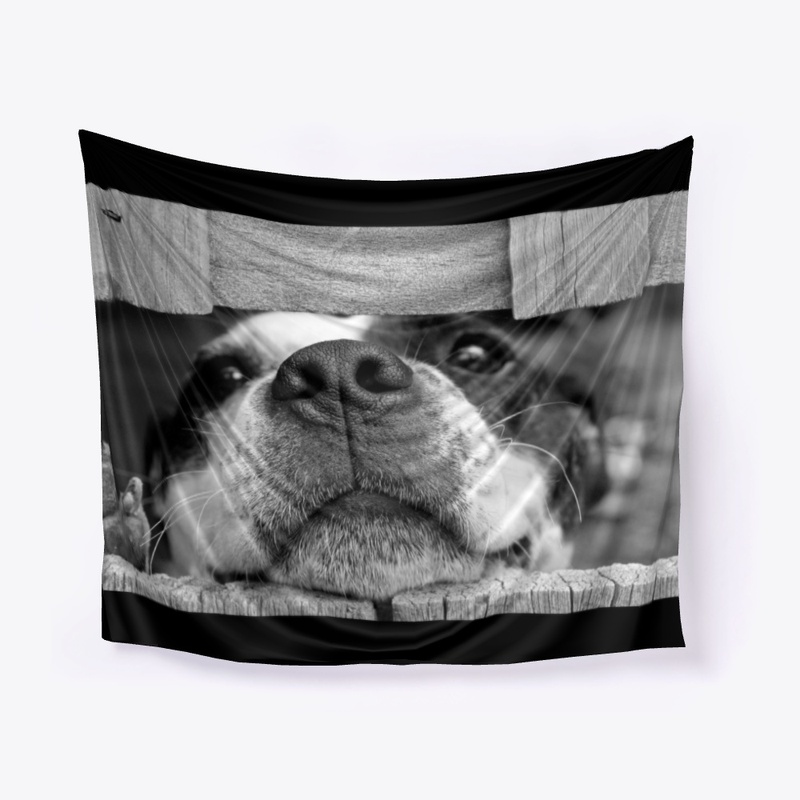 Lovely dog
