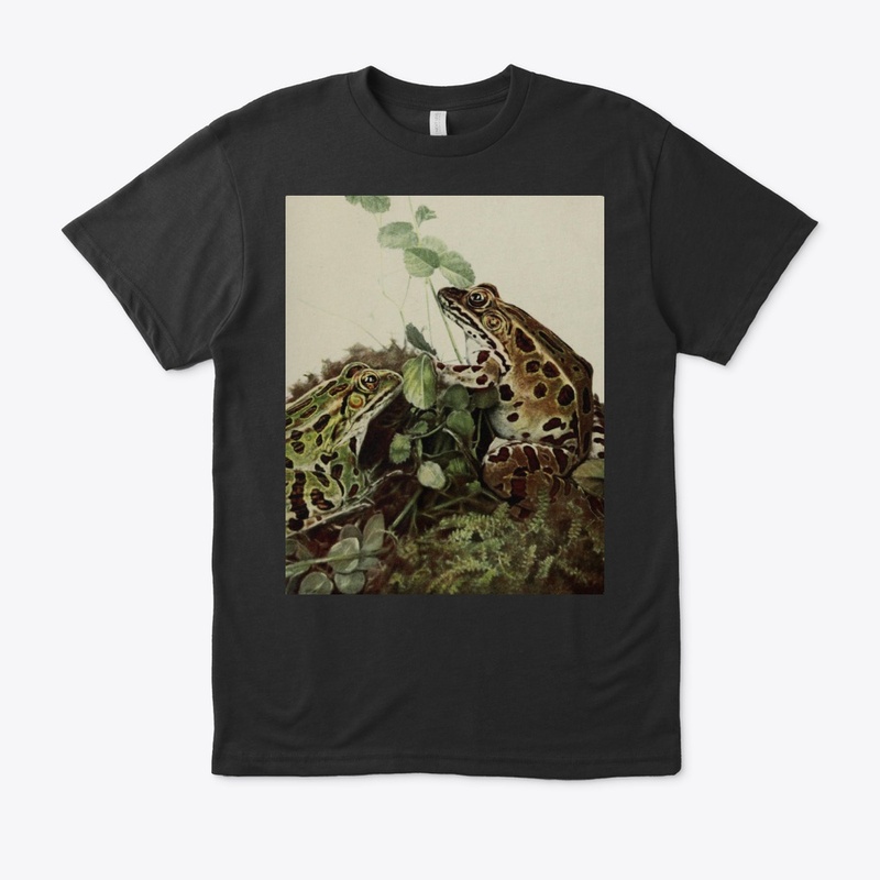 Frog Book 1