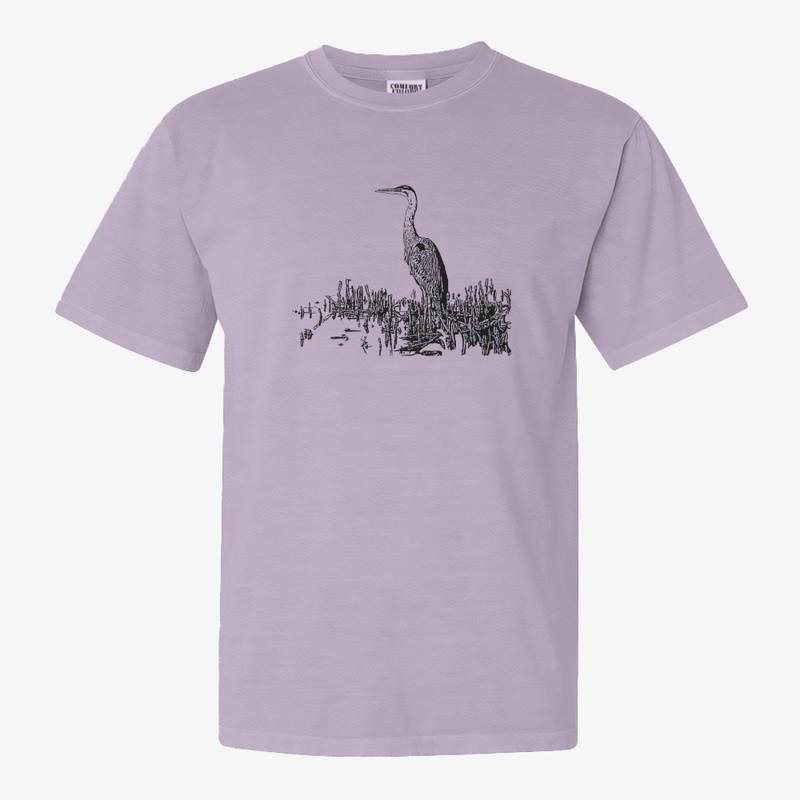 Birdwatching Great Blue Heron