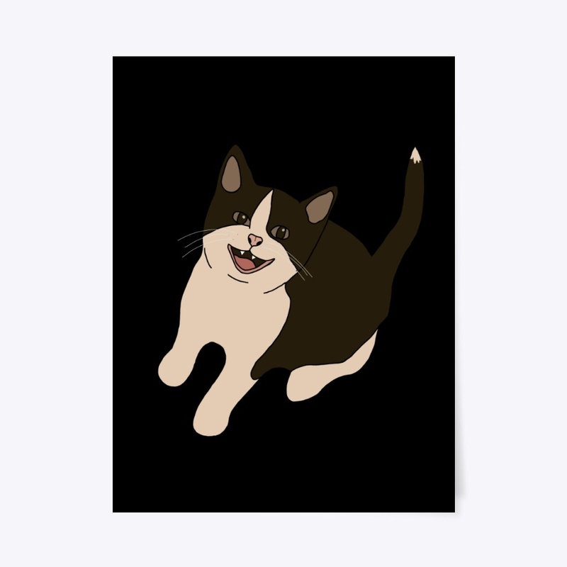 Spooky The Cat Home I