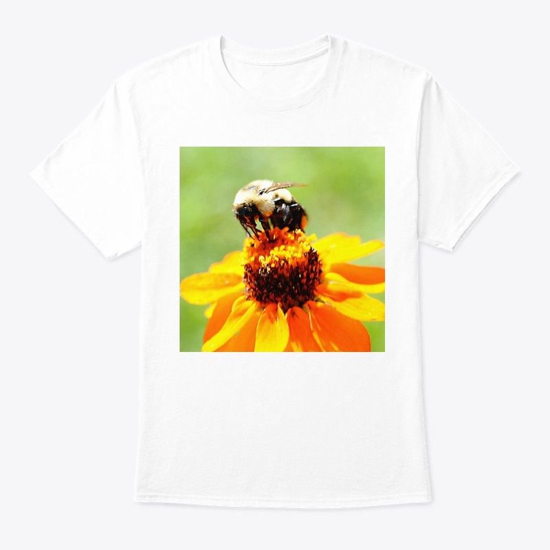 Bee On a Flower