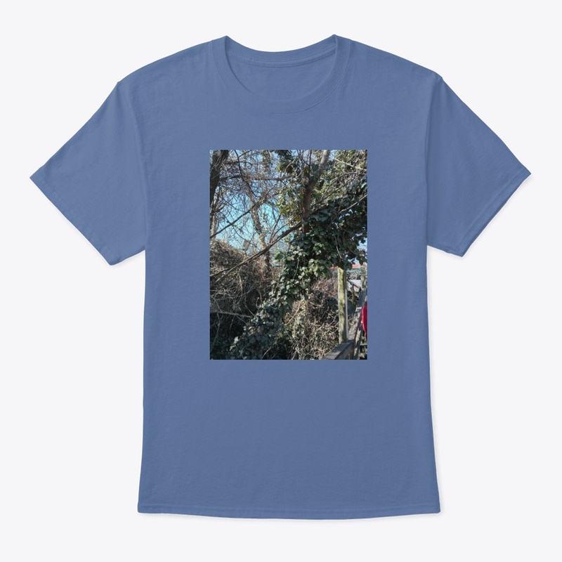 Trees by the Riverfront