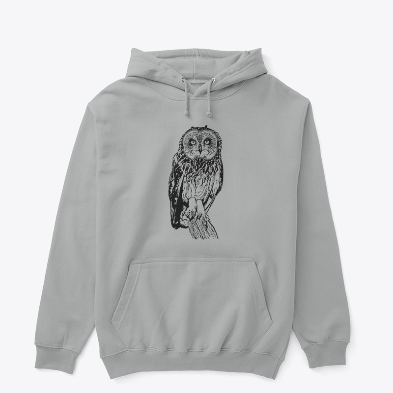 Short-eared Owl - Birdwatching