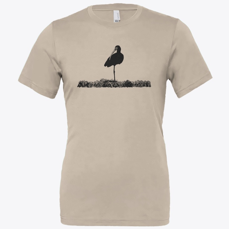 Birdwatching-White Faced Ibis