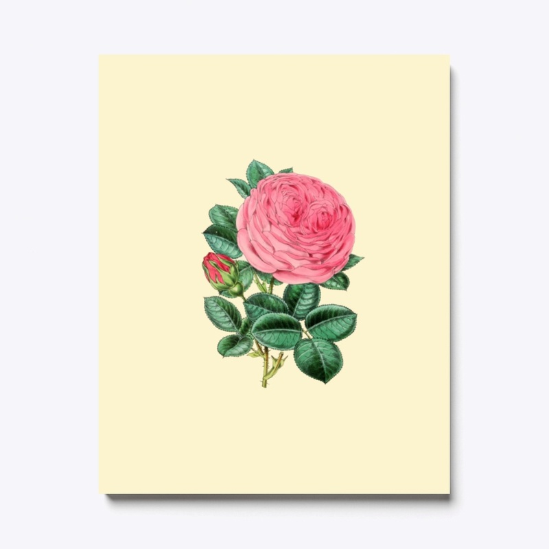 Vintage flower pink roze