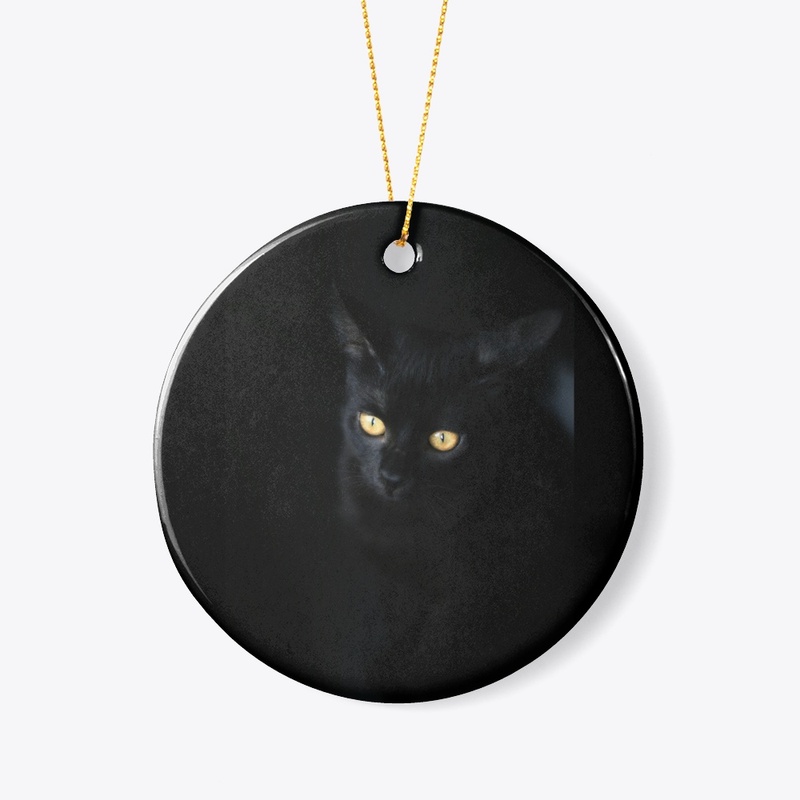"Midnight Whiskers Hoodie"