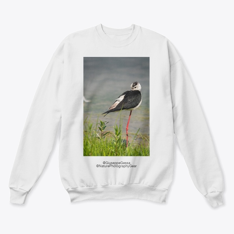 Black-winget stilt