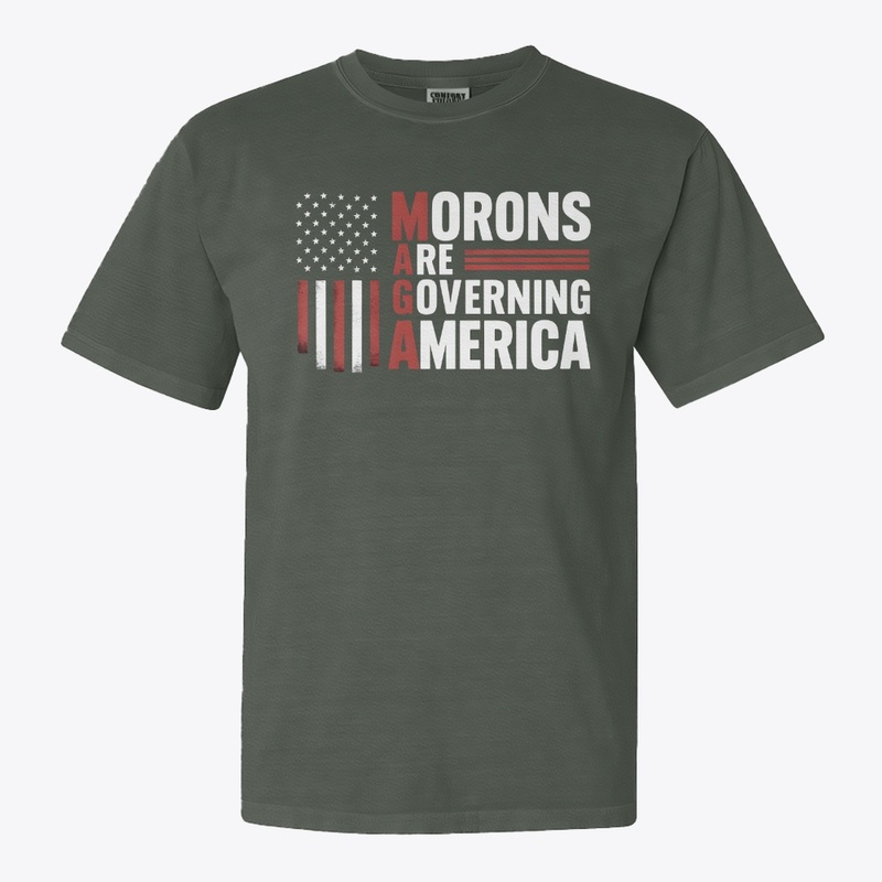 Morons Are Governing America