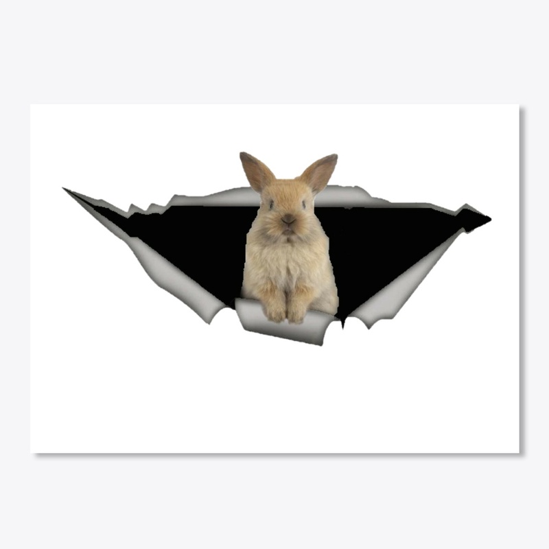 rabbit car decal
