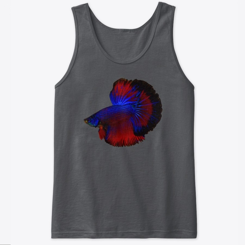 Betta Fish