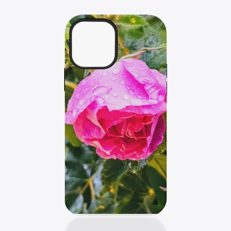 ROSES AFTER THE RAIN