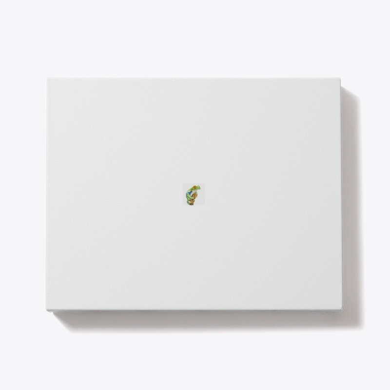 frog t-shirt/ accessories cutomize