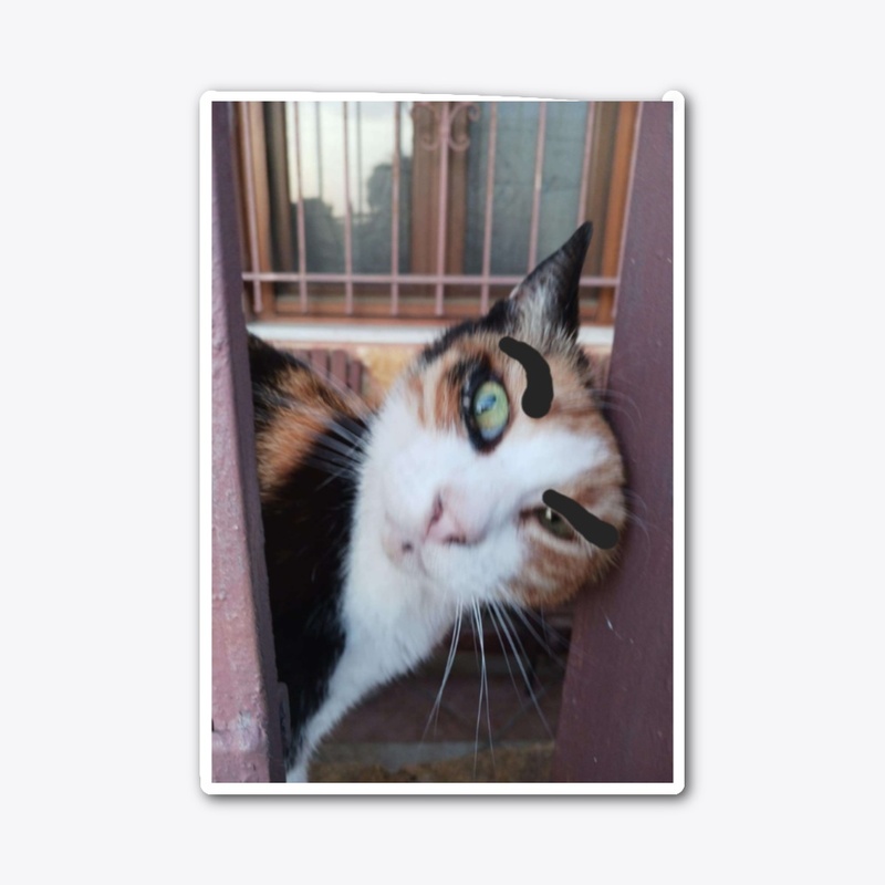 Flipzo's Cat