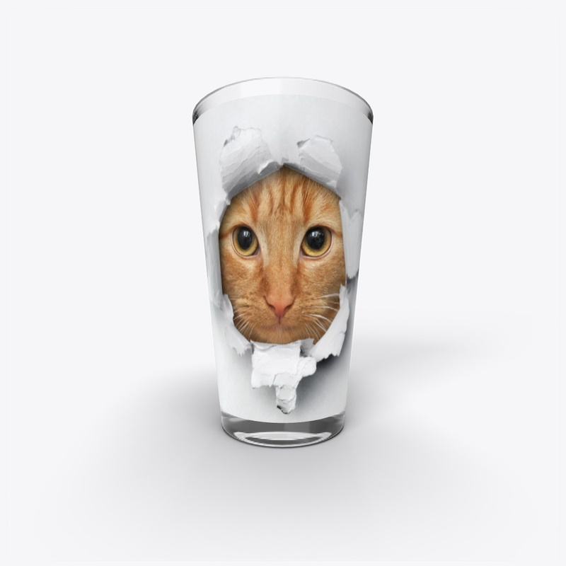 Funny cat face