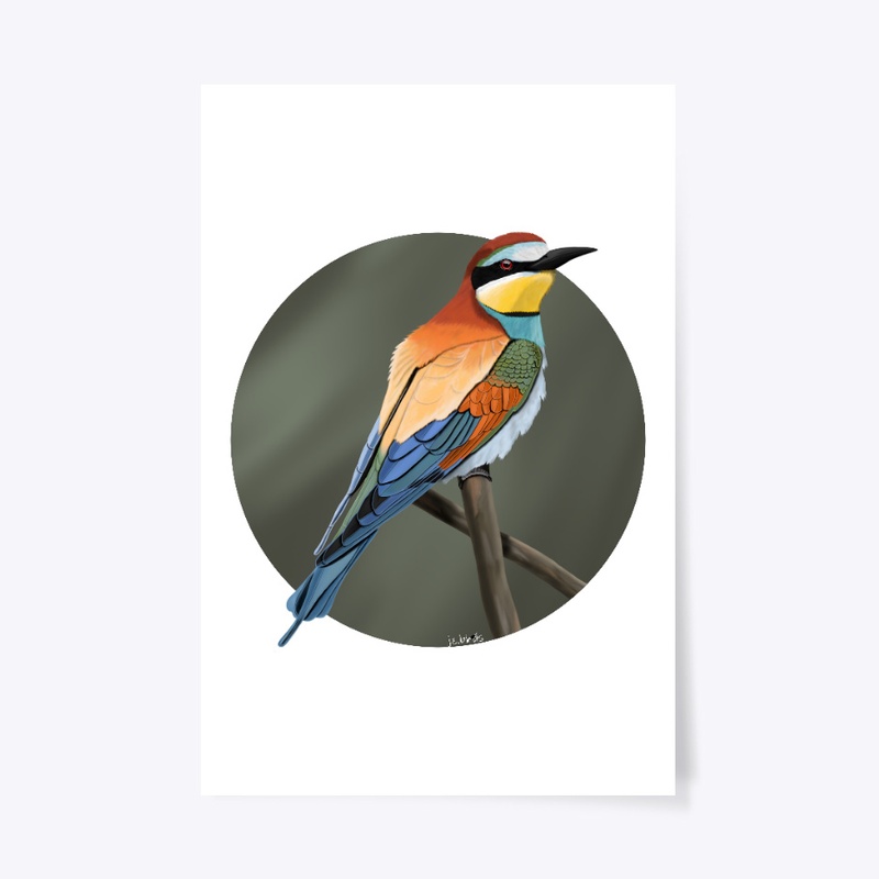 jz.birds Bee-Eater Bird Illustration