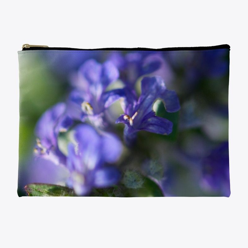 Blue and purple flowers in nature