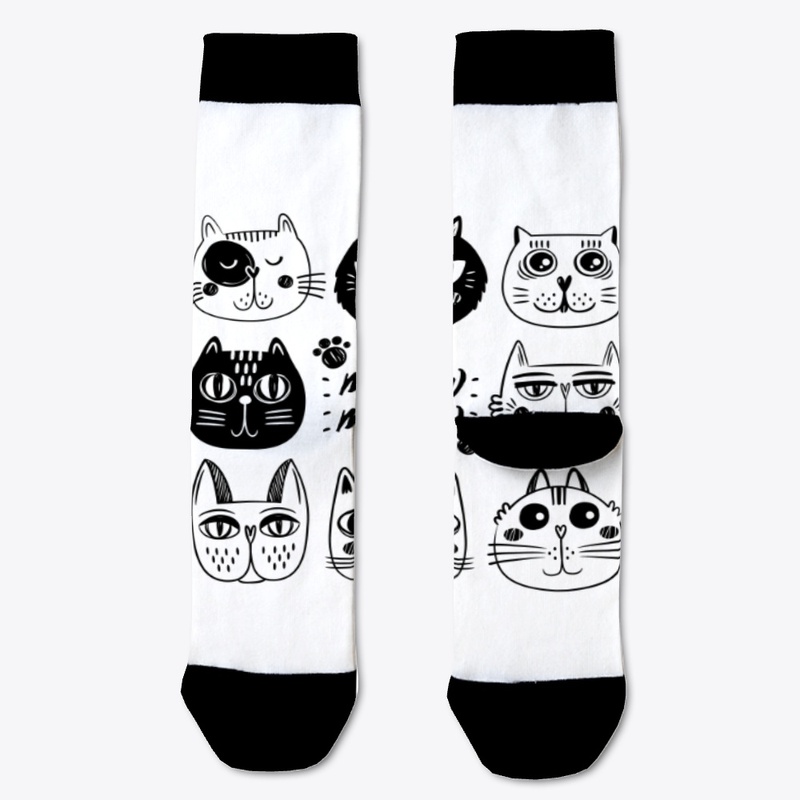 funny cats